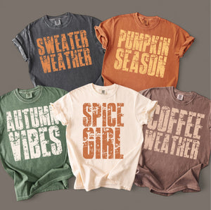 Fall Sayings Vintage Wash Tee
